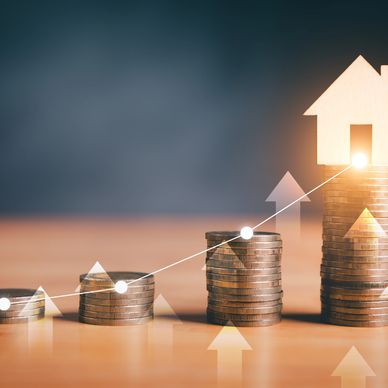 Dynamic Pricing