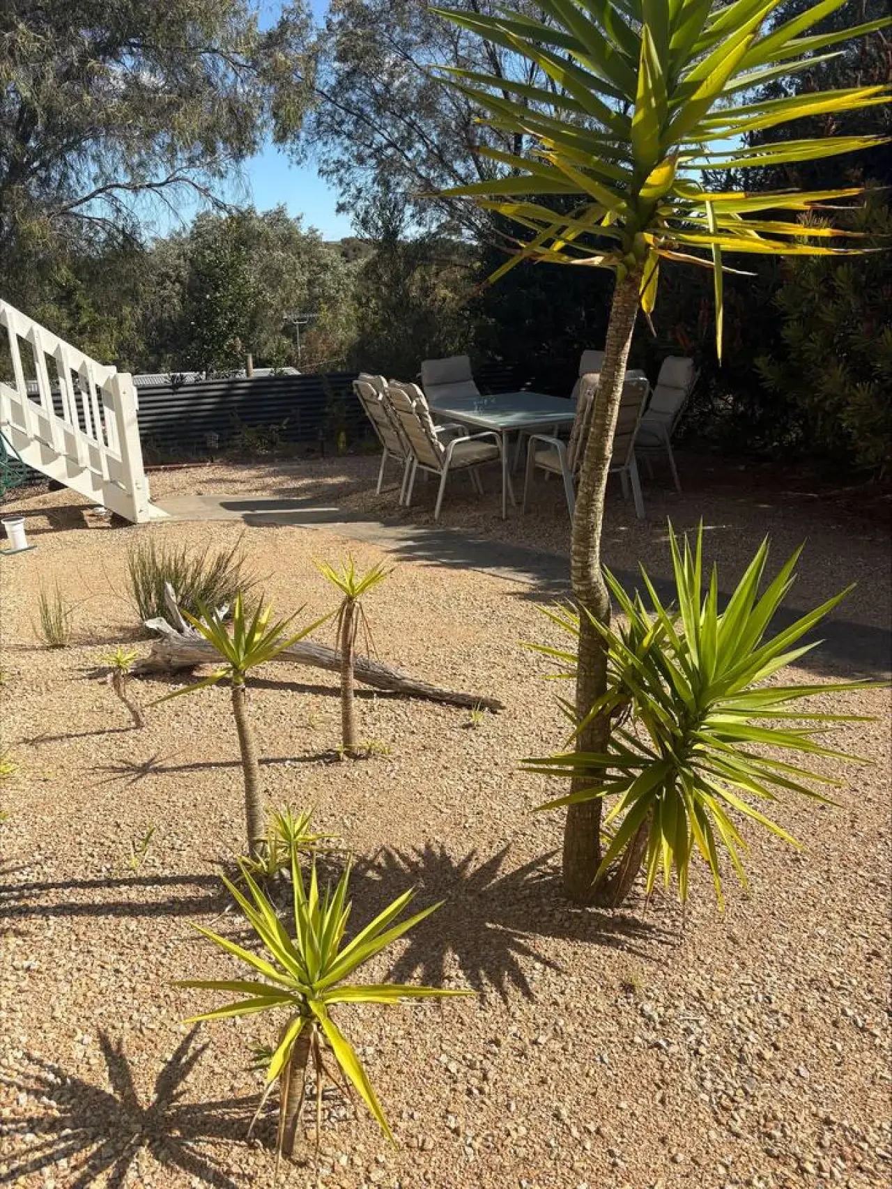 Pine Lea Lodge backyard patio with dining area