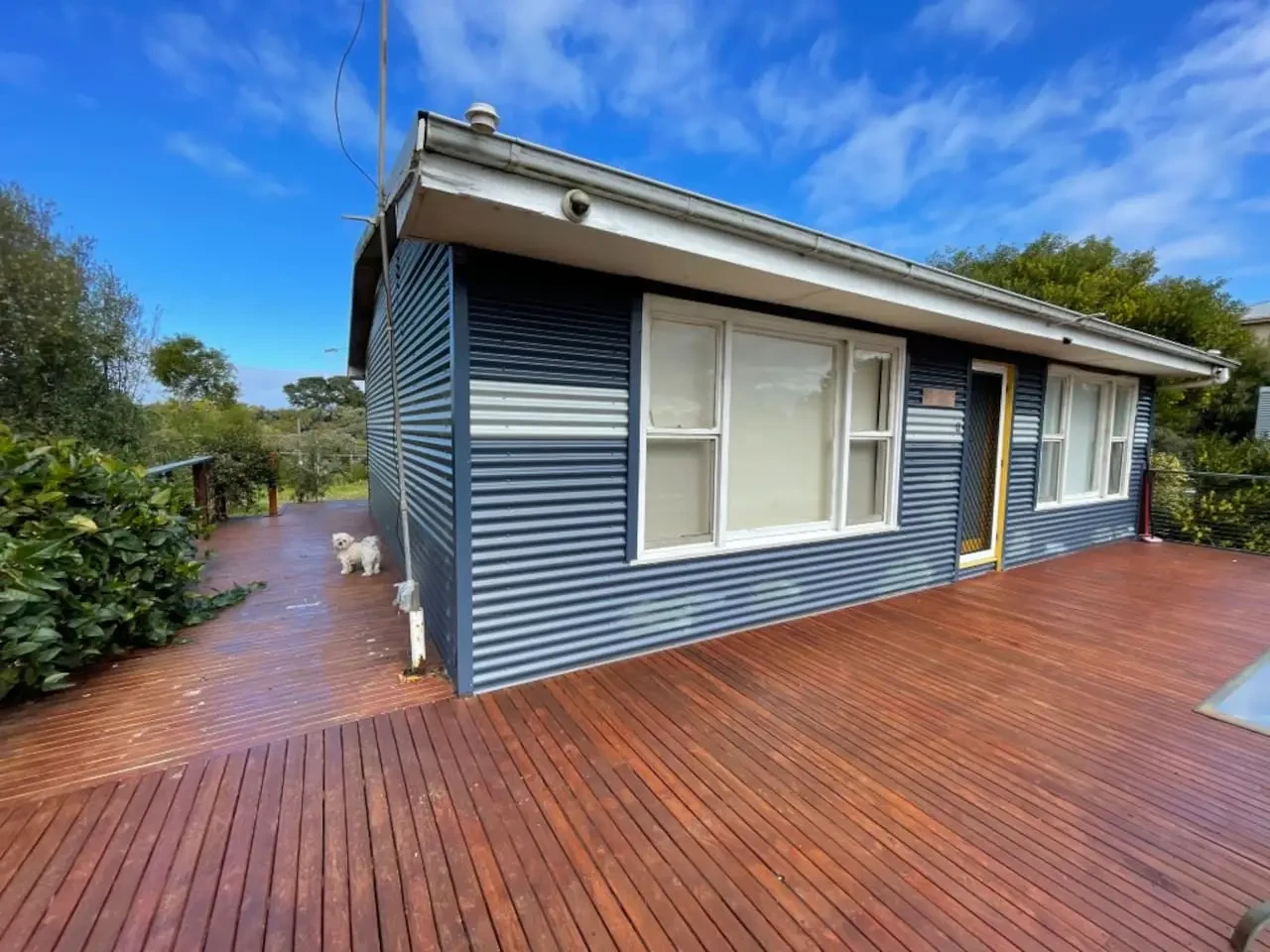 Cosy Tin Shack exterior with timber deck and dog