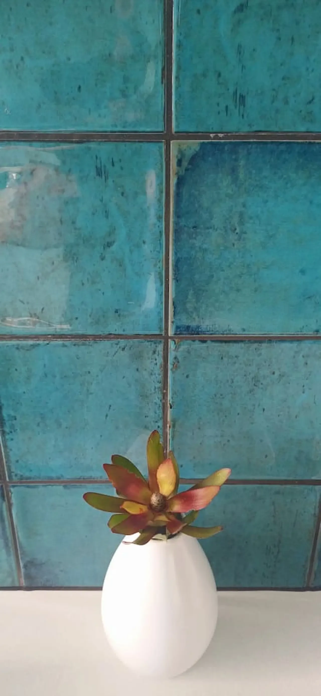 Ocean Blue — succulent in white vase against teal tile wall