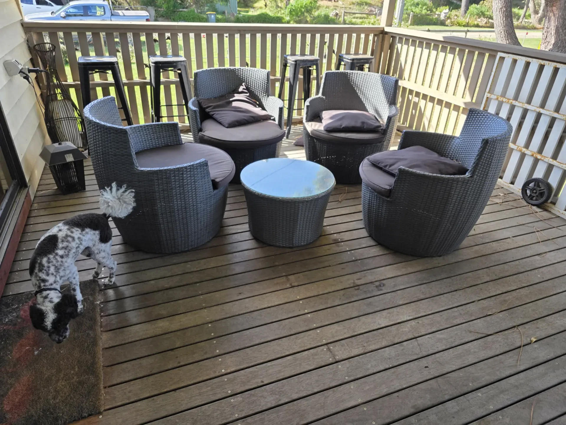 Front deck with wicker lounge furniture and dog