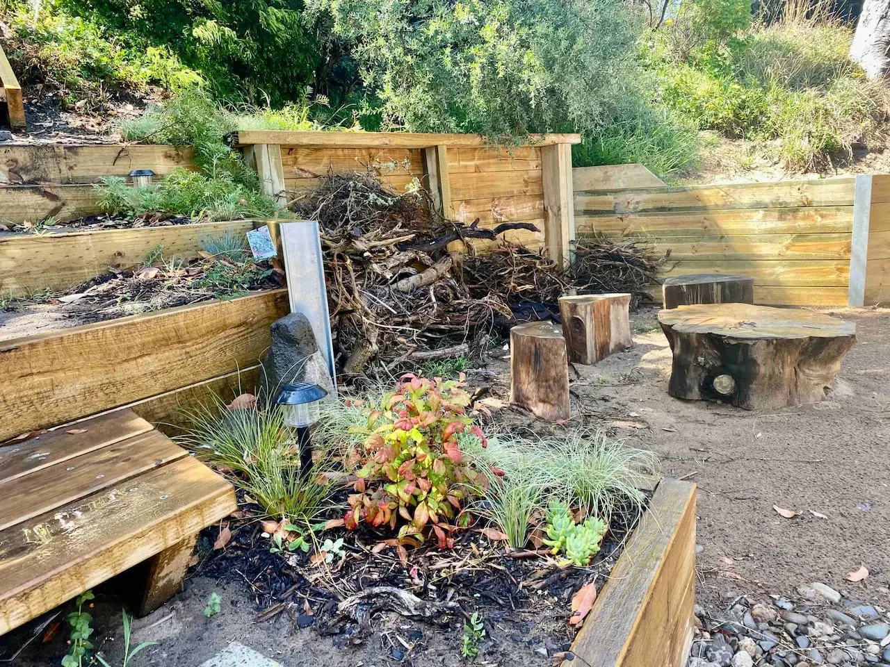 Terraced garden with raised beds and native plants