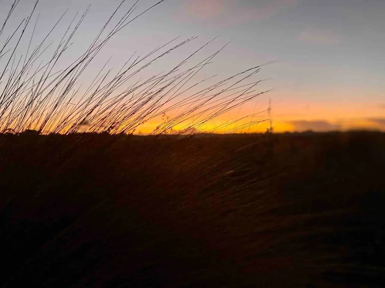 Golden sunset over the dunes at Venus Bay