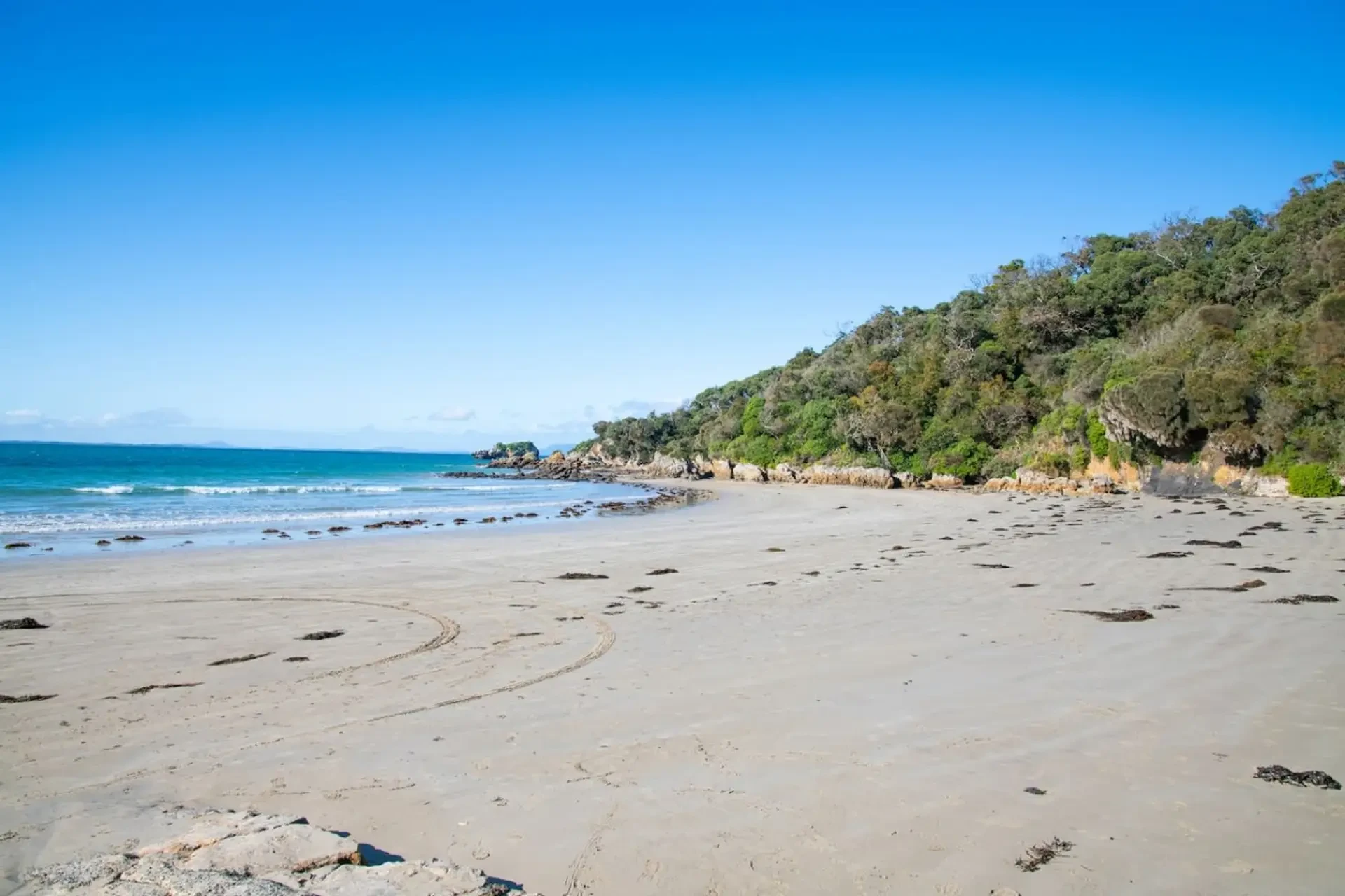 Walkerville beach wide sandy shore