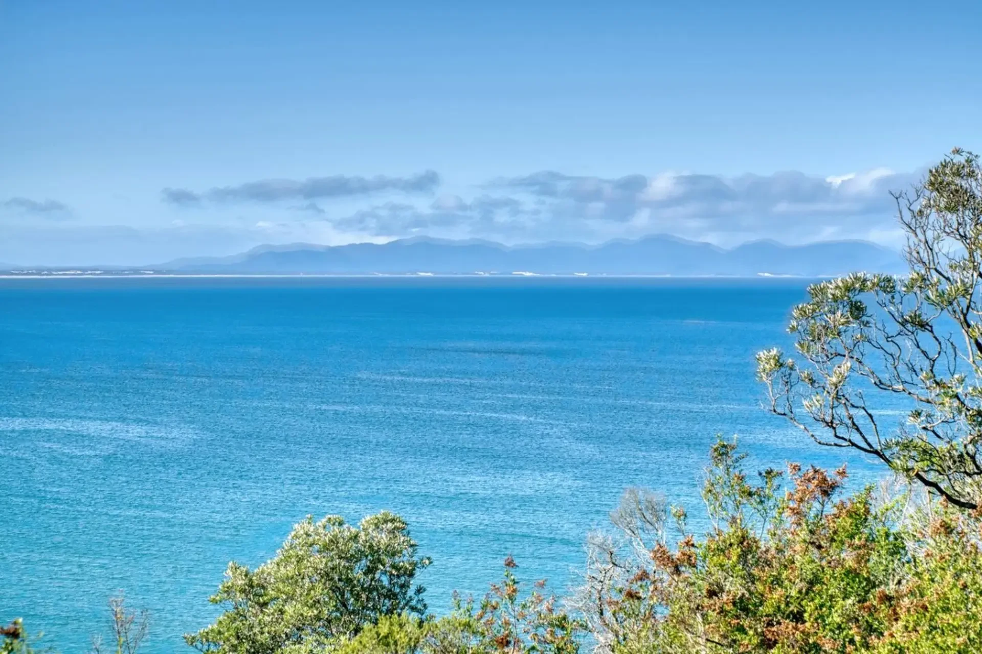 Walkerville ocean view through coastal scrub